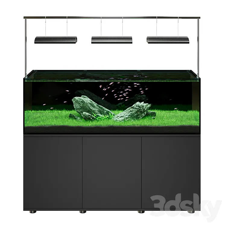 Iwagumi style aquarium 3DS Max Model