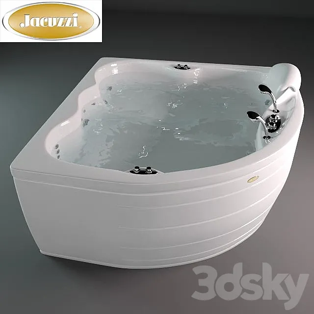 Jacuzzi _ Maxima 3DS Max Model