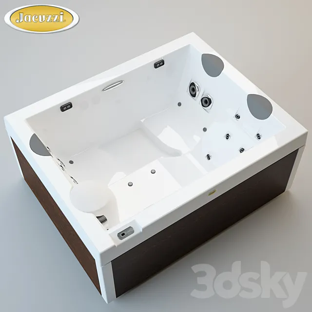 Jacuzzi _ Unique 3DS Max Model