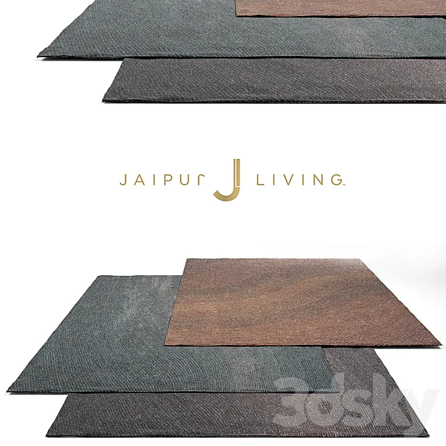 Jaipur Living Shags Rug Set 1 3DSMax File