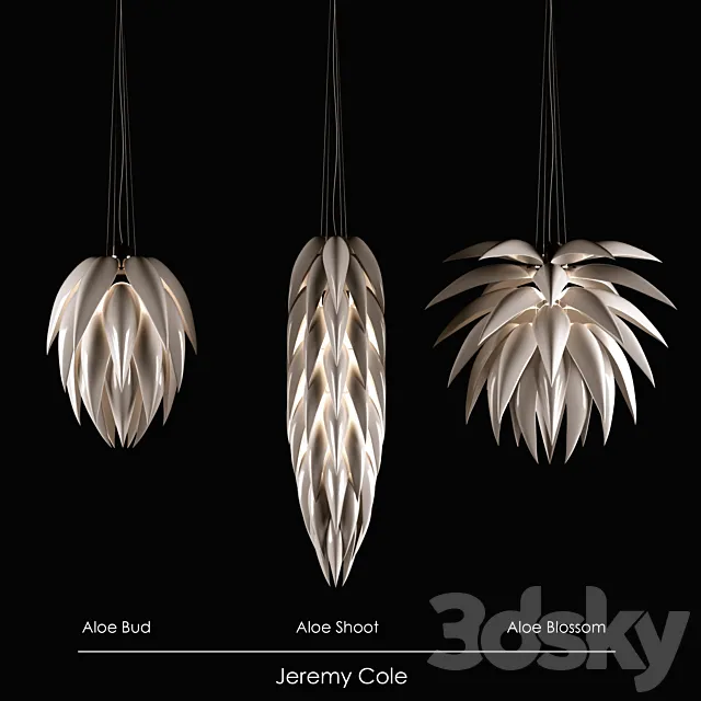 Jeremy Cole Aloe Bud Aloe Shoot Aloe Blossom 3ds Max