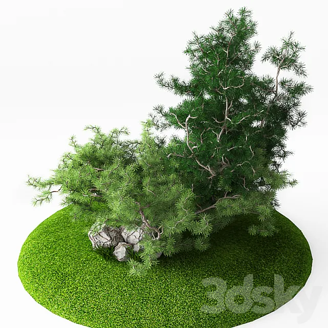 Juniper 3ds Max