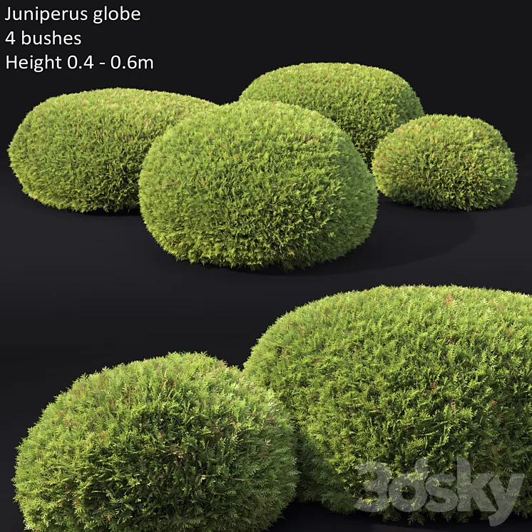 Juniperus Globe 3DS Max