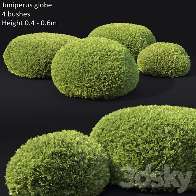 Juniperus Globe 3DSMax File