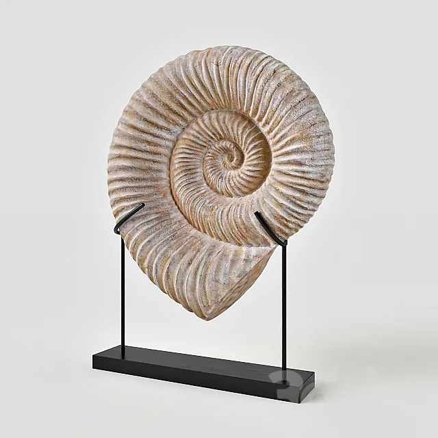 Kaleho Shell Sculpture 3DS Max Model