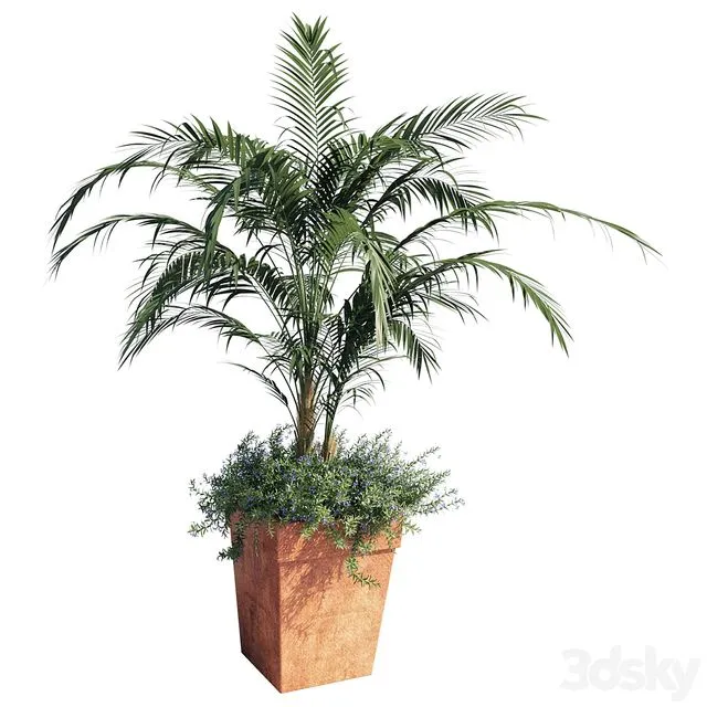 Kentia palm 3dsMax Model