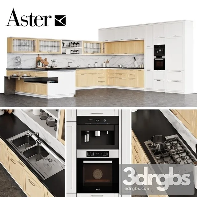 Kitchen Aster Cucine Timeline 2.0 3dsmax Download