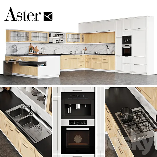 Kitchen Aster CUCINE Timeline 2.0 3DS Max Model