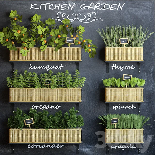 Kitchen garden 3 3DSMax File