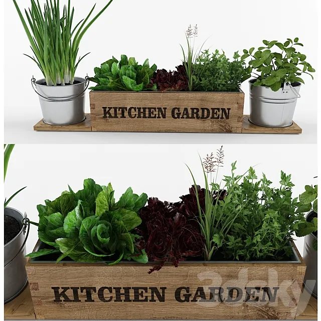 Kitchen garden 3ds Max