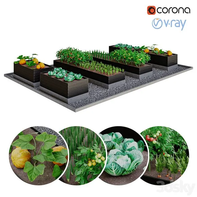 Kitchen garden 3dsMax Model