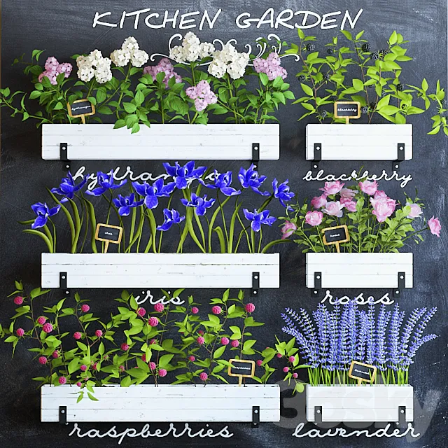 Kitchen garden 5 3DSMax File