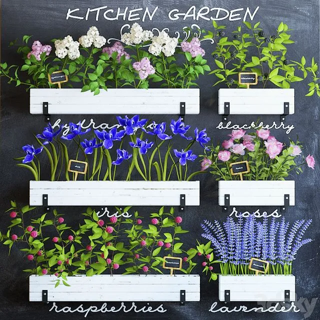 Kitchen garden 5 3dsMax Model