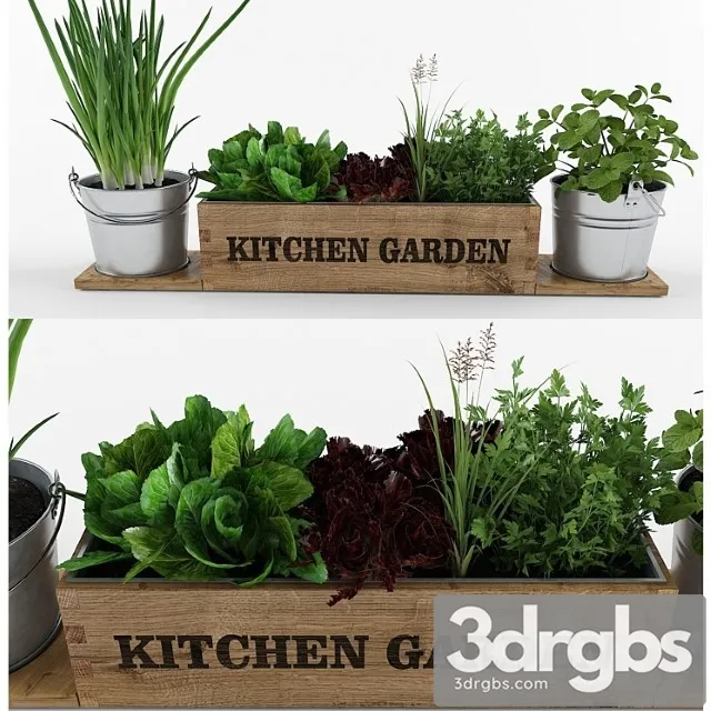 Kitchen garden_222 3dsmax Download