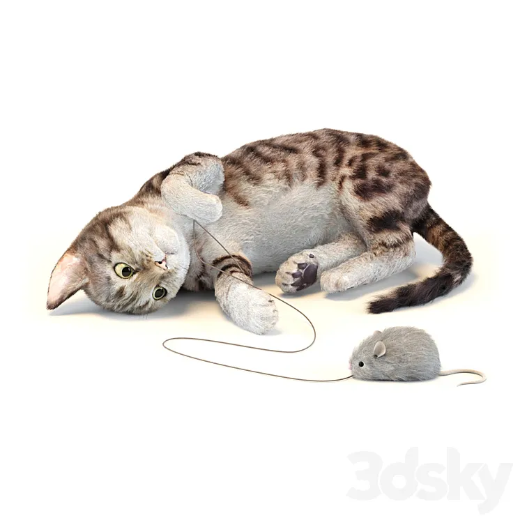 Kitten in two color options 3DS Max