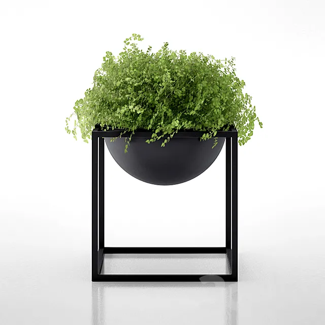 Kubus Black Bowl with clover by Lassen 3DSMax File