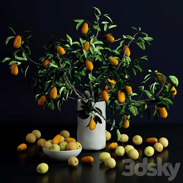 Kumquat and plums 3DS Max