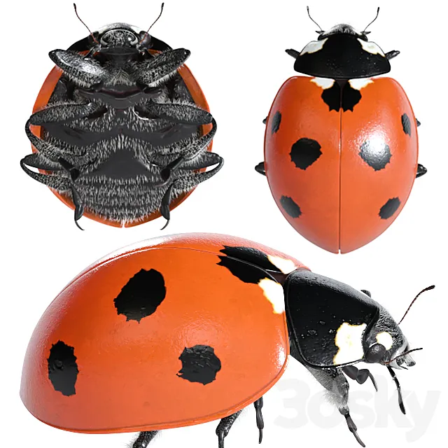 Ladybug (vray NEXT) 3ds Max