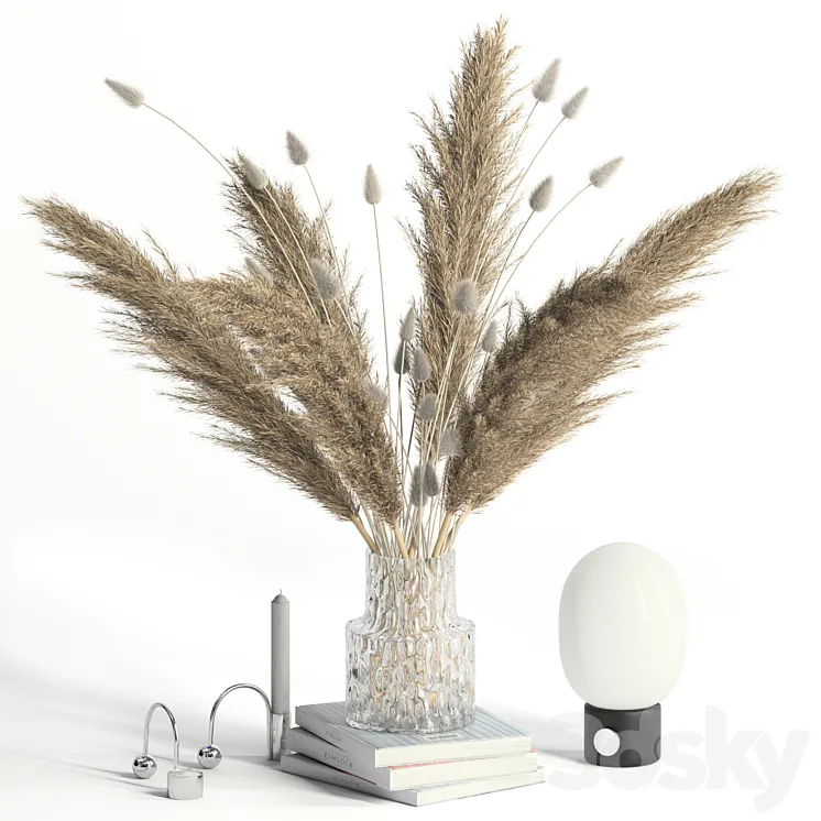 Lagurus pampas grass and Co 3DS Max