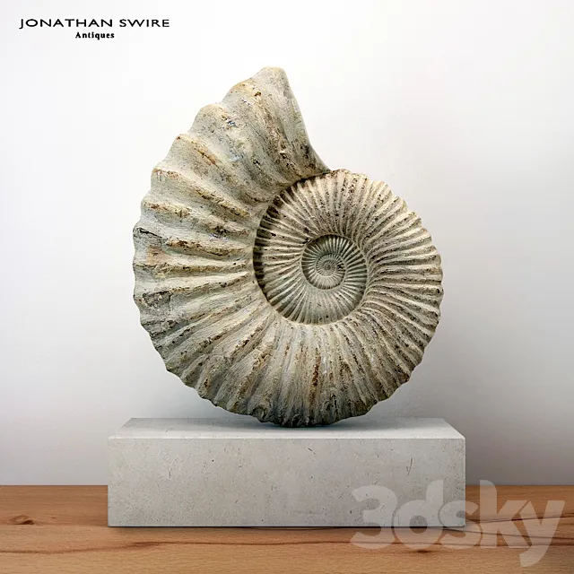 Large Ammonite Mounted on a Limestone Base 3DS Max Model