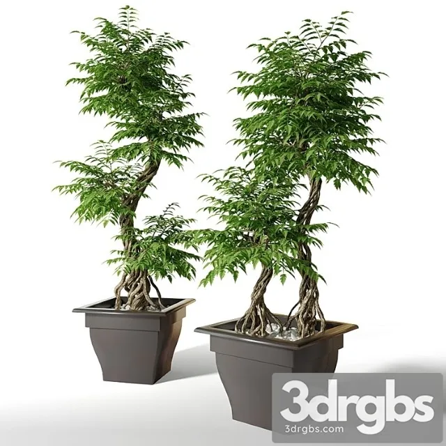 Large artificial tree fruticosa