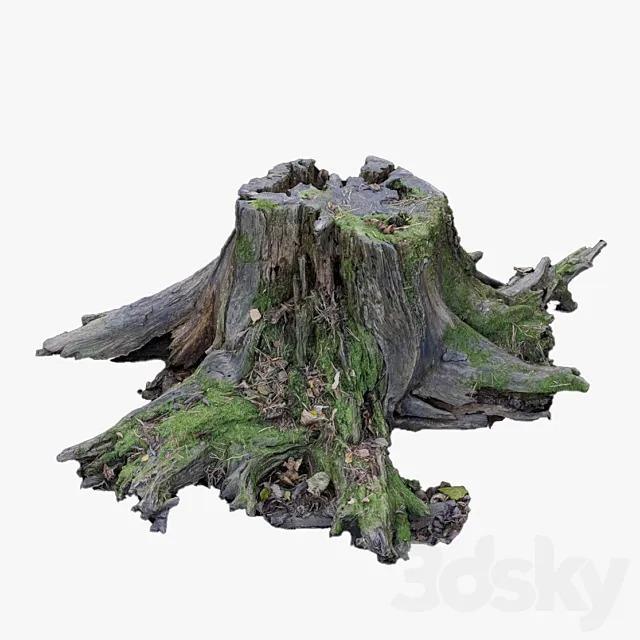 Large tree stump 3ds Max