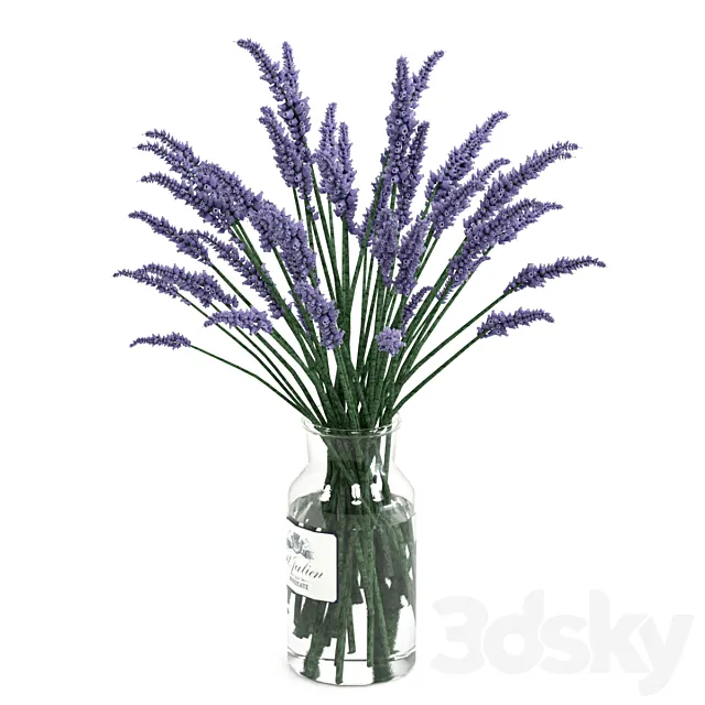 Lavender bouquet 3DS Max Model