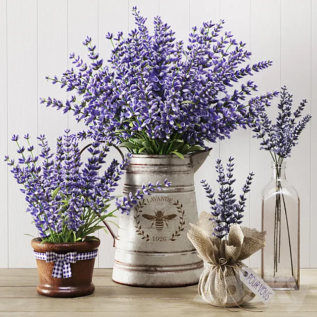 Lavender still life 3DS Max Model