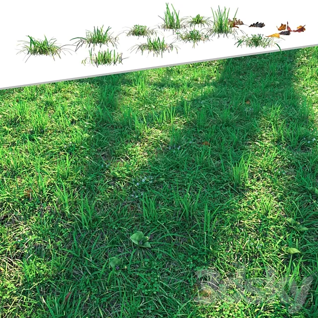 Lawn 3ds Max