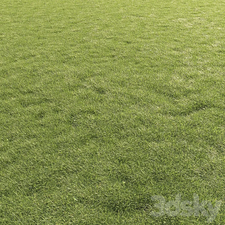 Lawn Grass 01 3DS Max Model