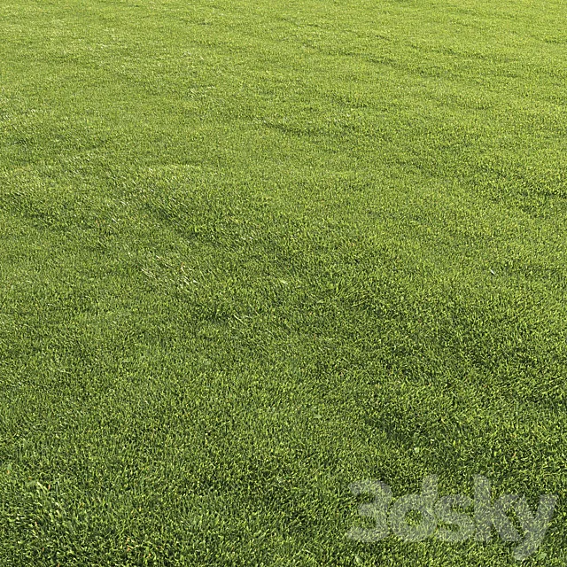 Lawn grass 3DS Max Model