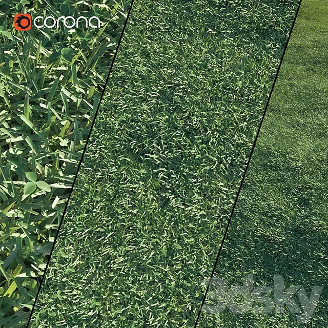 Lawn grass 3DS Max Model