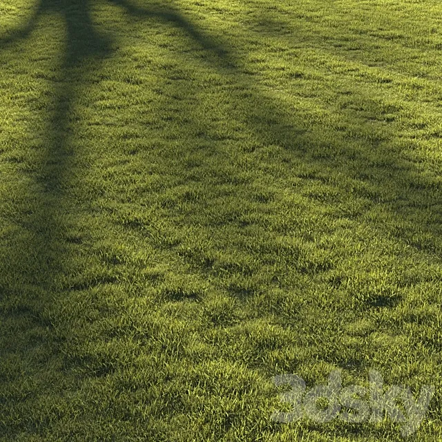 Lawn grass №2 3ds Max