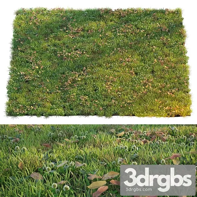 Lawn With Clover and Dry Leaves 3dsmax Download