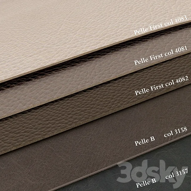 Leather pack 1 3DS Max Model