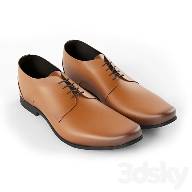 Leather Shoes 3DS Max Model