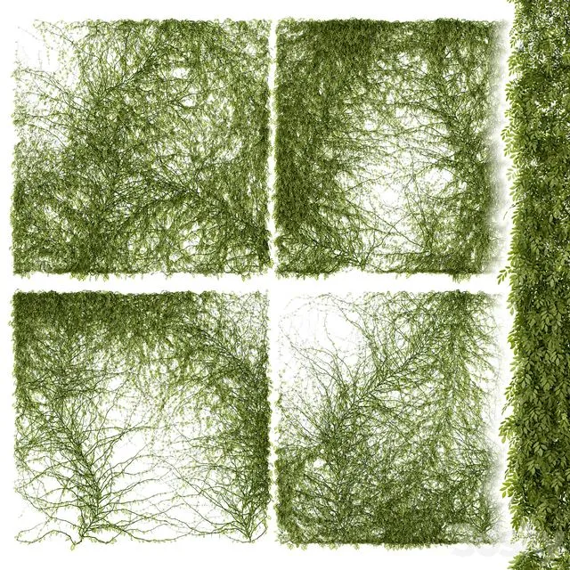 Leaves for walls 3dsMax Model