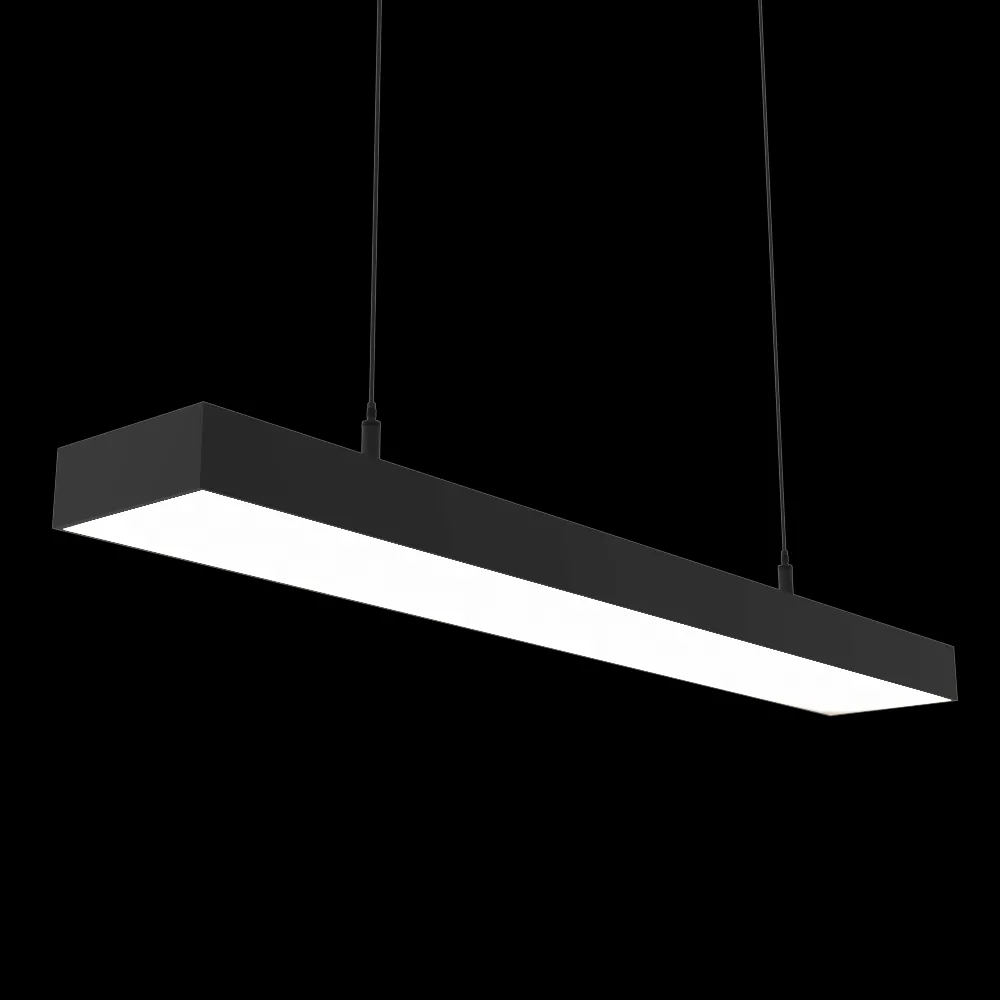 Ledalen – Pendant lamp Linear P2874 3ds Max
