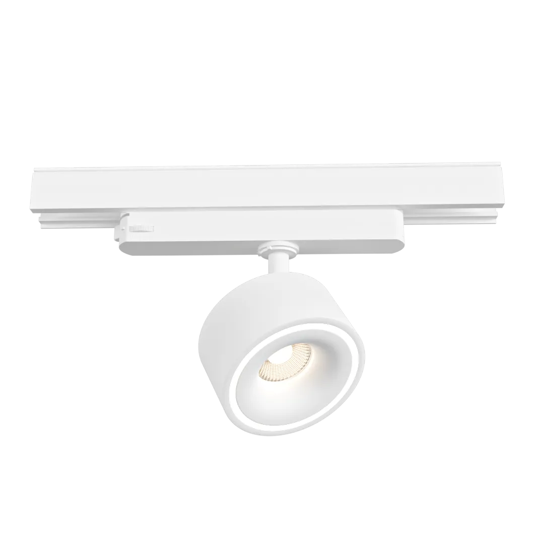 LeDron – Spot lamp MJ-1180 3ds Max