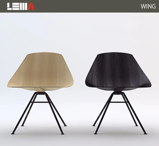 LEMA WING 3dsMax Model