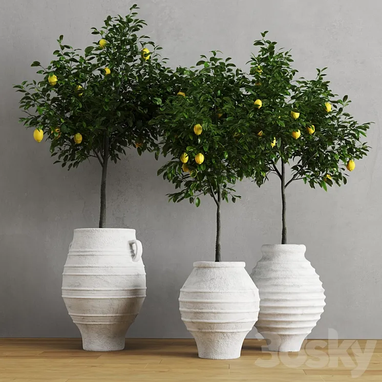Lemons in clay pots 3DS Max