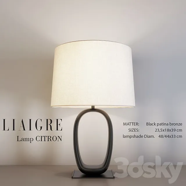 Liaigre CITRON Table Lamp 3DSMax File