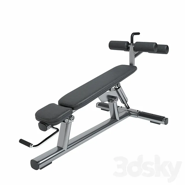 Life Fitness Signature Series Adjustable Abdominal Bench 3DS Max Model