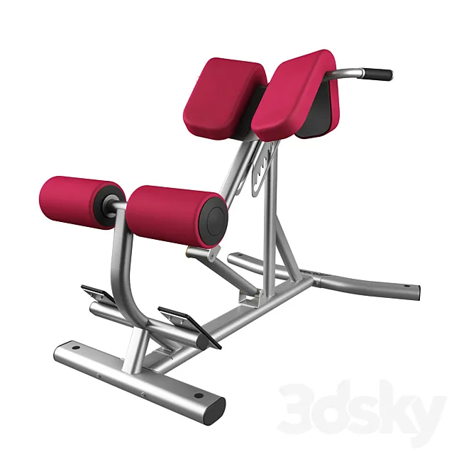 Lifefitness Signature Series Back Extension 3ds Max