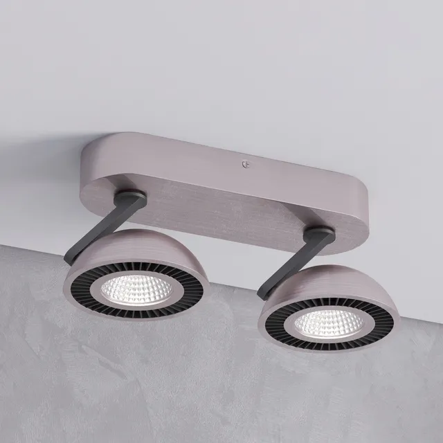 lighting – Ceiling light Odeon light  3535  2CL Karima 3ds Max