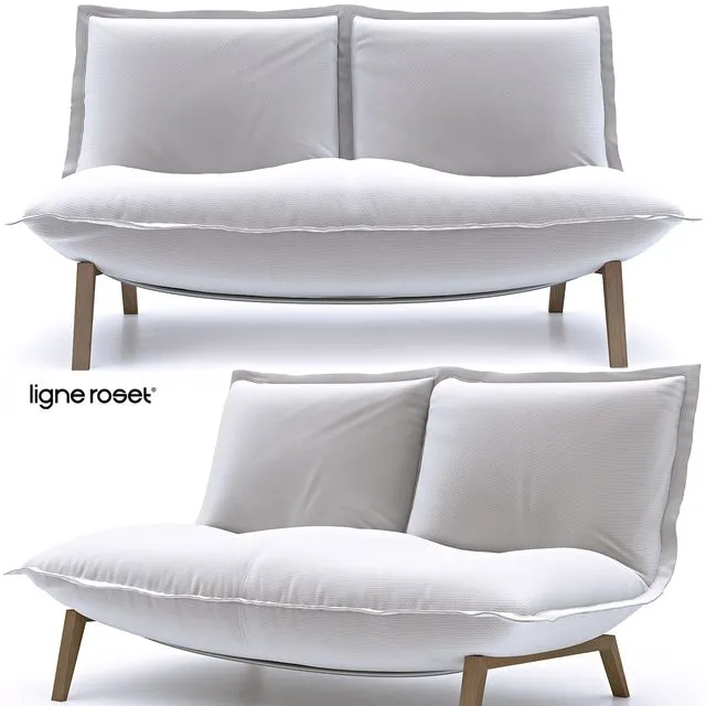 Ligne Roset CALIN sofa 3dsMax Model