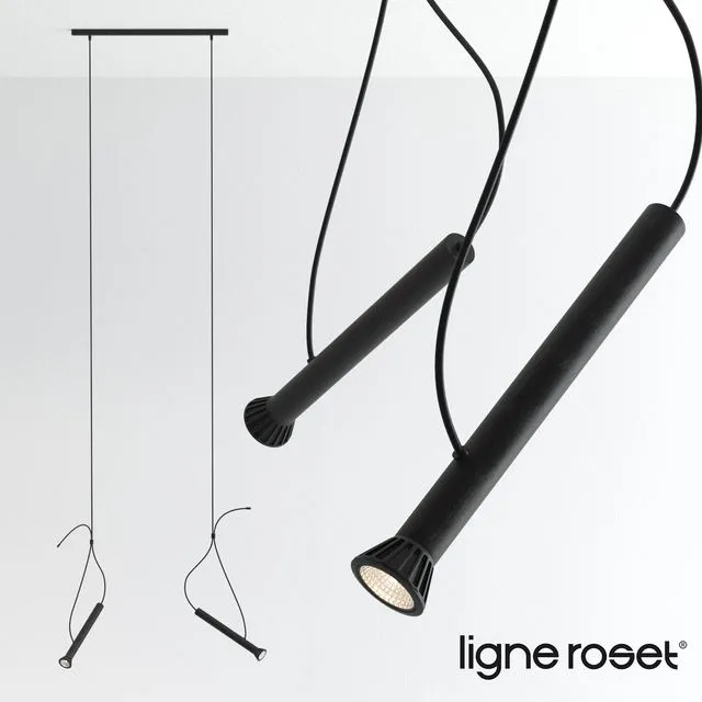 ligne roset lasso 3dsMax Model