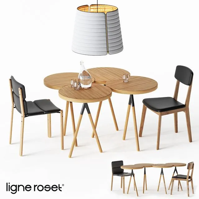 Ligne Roset Set 3dsMax Model