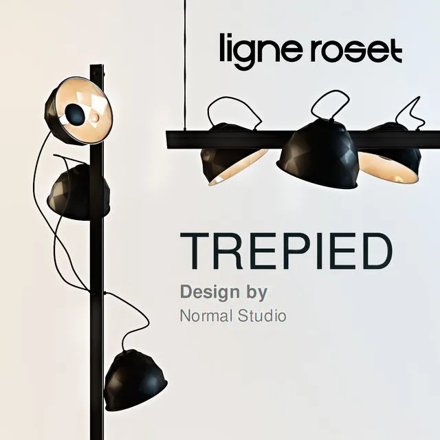 Ligne Roset TREPIED 3dsMax Model