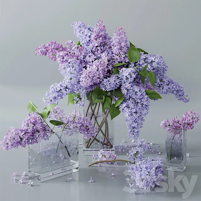 lilac 4 3DSMax File